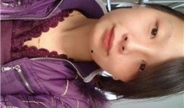 国产113页,深度解析我国科技发展的新篇章