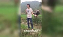 午夜福利视频国产,揭秘国产影视作品的魅力与影响力