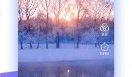 青草国产在线,探寻国产青草在线的魅力与风采