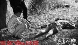 国产老熟,传承与创新中的民族品牌风采