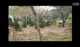 国产真实野战在线视频,还原战场真实，展现军人风采