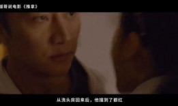 国产毛片在线看国产,探寻国产生态下的影视盛宴