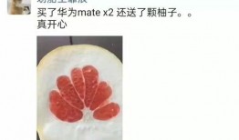 国产肉视频,视频揭秘美味背后的故事