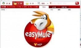 bt国产,揭开神秘国度的神秘面纱